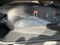 2026 Chevrolet GROOVE GROOVE RS AT CVT PAQ F