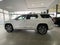 2019 GMC ACADIA SUV PAQ  E AWD DENALI ACADIA SUV PAQ  E AWD DENALI